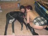 ... sex married couples sex with animals girl deepthroating a dog