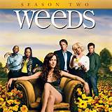 Weeds 2005 | TV Show Watchlist