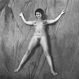 ... picture pussy galleries retro hairy tit natural length bush webcam