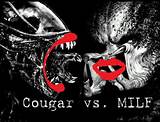 it what would a cougar vs milf showdown look like i m thinking it ...